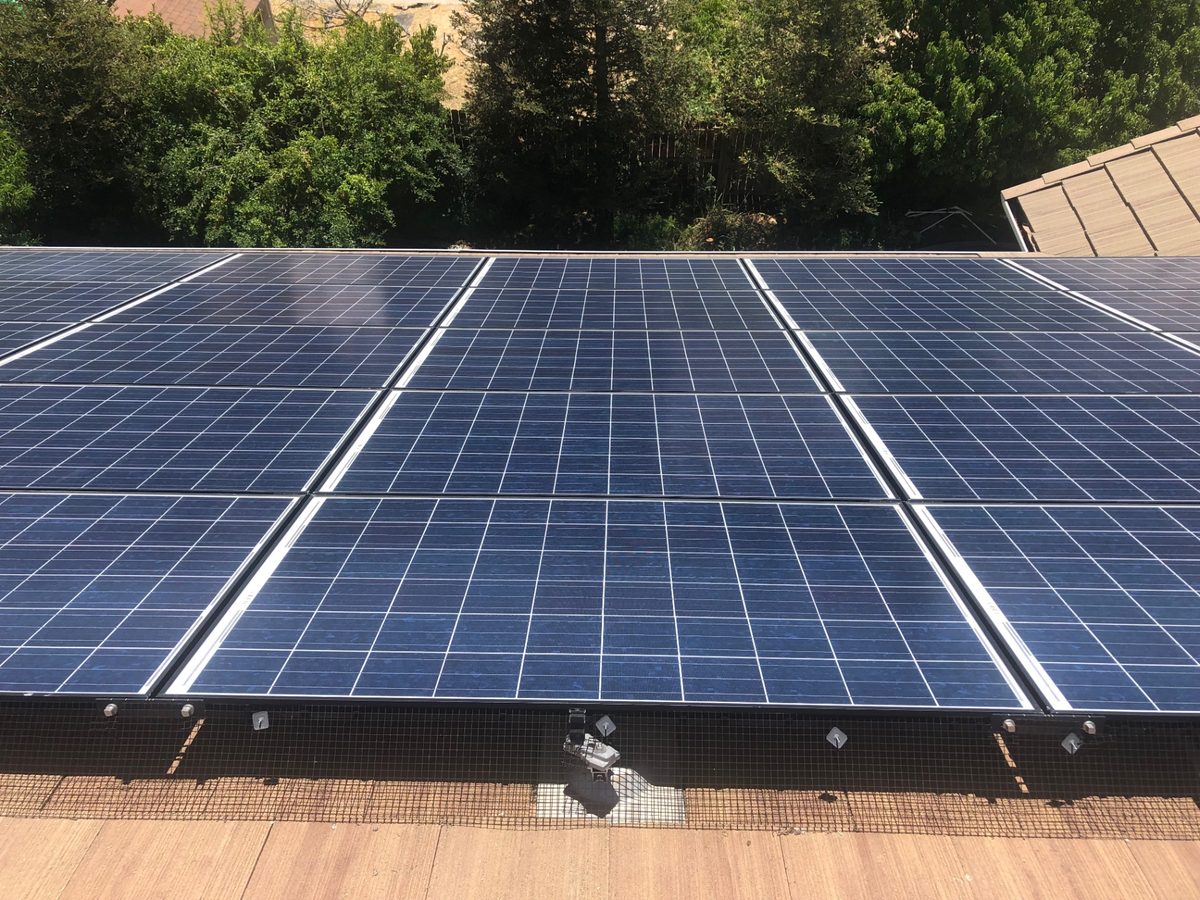 Clean solar panels on a tile roof with bird mesh